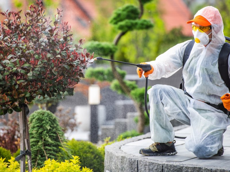 Urla Haşere İlaçlama